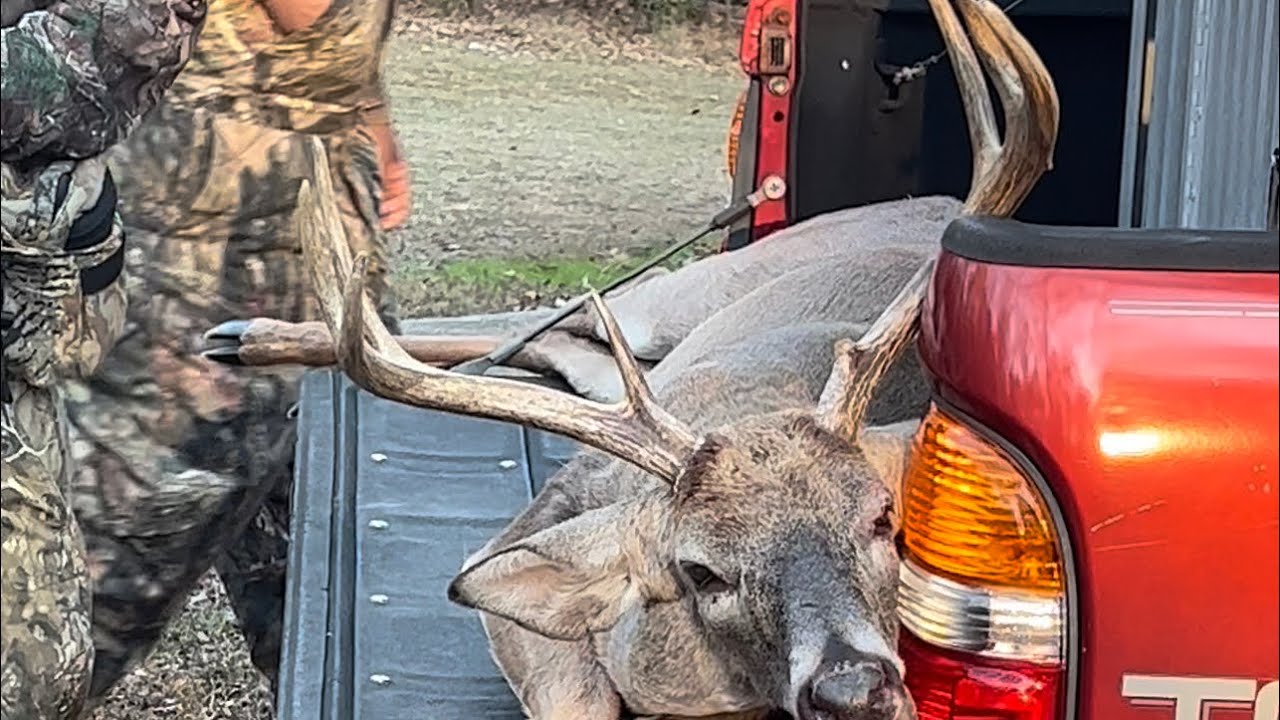 VA DEER HUNTING (WITH DOGS) 25” BIG BUCK Down On LAST Drive (7