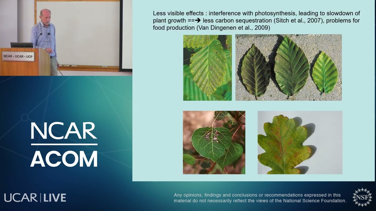 Stanislaw Cieslik: Air-Vegetation Exchange, Micrometeorology, Stationarity