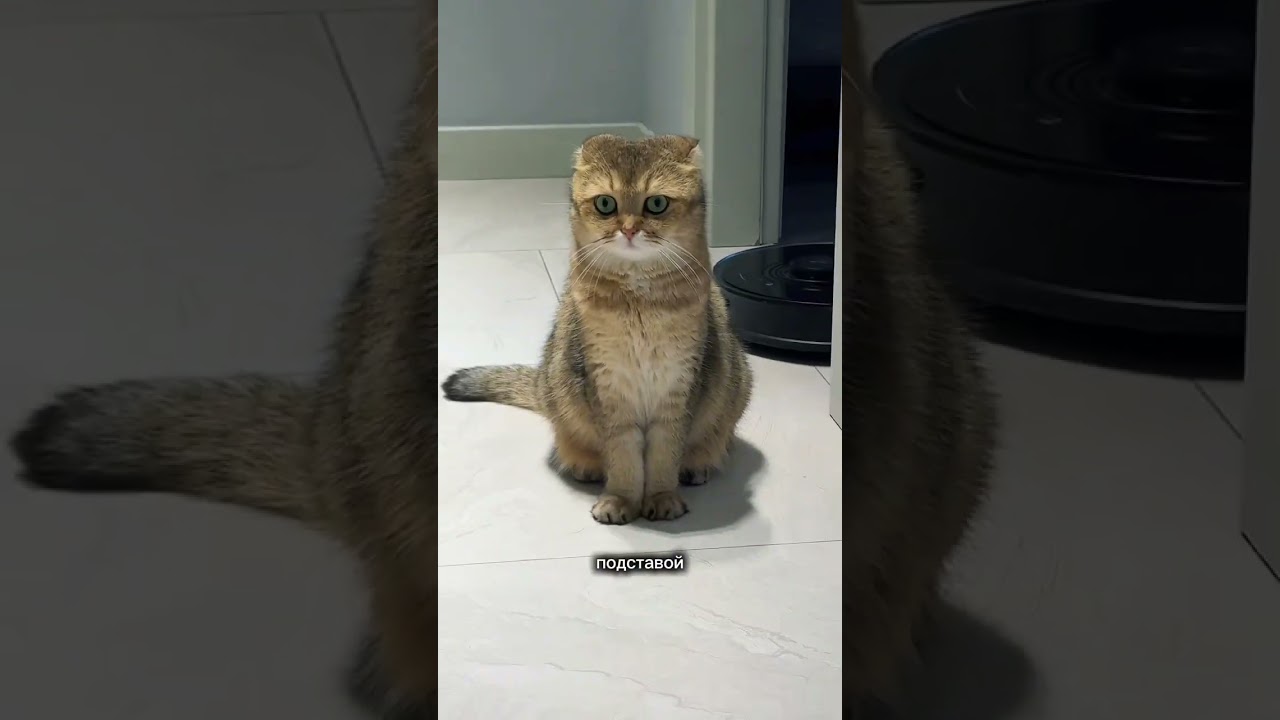 Подстава за подставой