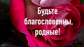 ПОВЕРЬ, ВСЁ БУДЕТ ХОРОШО ❗❗❗🤗🙏🕊️💕 - стихи христианские.