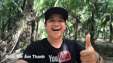 Test dàn nhạc sóng của Anh Tùng ở Mỏ Cày Nam - Bến tre || Tiếng sáng nhưng Còn Hú nhe anh em...