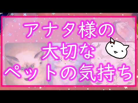 大切なペットちゃんのお気持ちお伝えします 無邪気な気持ちから 動物の枠を超えた素敵な感情が溢れていました 最後にアナタ様へペットちゃんからのメッセージもありますm M Youtube 大切なペットちゃんのお気持ちお伝えします 無邪気な気持ちから 動物の枠を超えた素敵な感情が溢れていました 最後にアナタ様へペットちゃんからのメッセージもありますm M Youtube