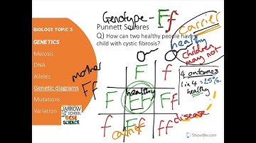 B3 Genetics pt2 - Edexcel GCSE Science - Jarrow School