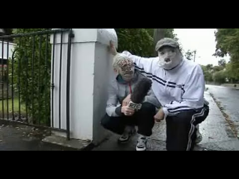 The Rubberbandits Guide To Limerick