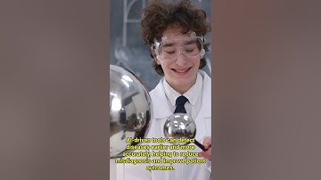 AI in Healthcare: Revolutionizing Patient Care