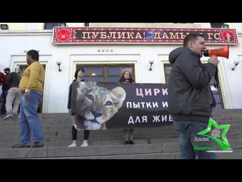 Акция в Международный день цирка - 15.04.2017