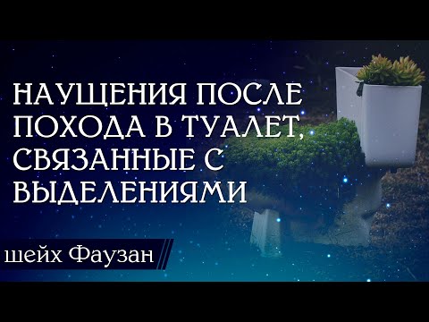 Наущения после похода в туалет / Шейх Салих аль-Фаузан