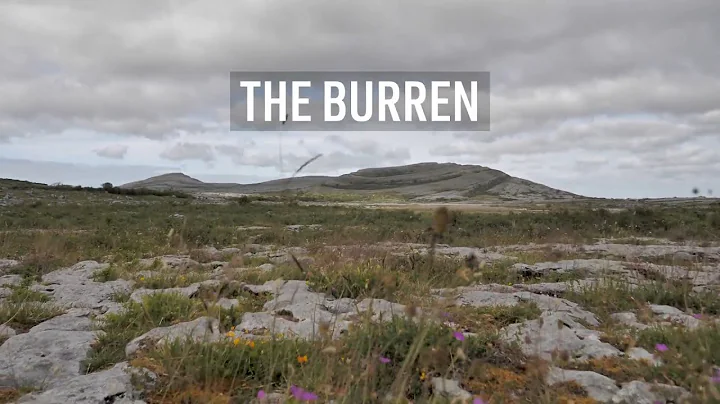 5 in Five: The Burren