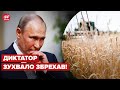 ⚡️ІНСАЙТ! путін обіцяв розблокувати зерно, вимагаючи не давати Україні ракети на 300 км