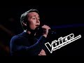 August Dahl - All I Want | The Voice Norge 2017 | Live show