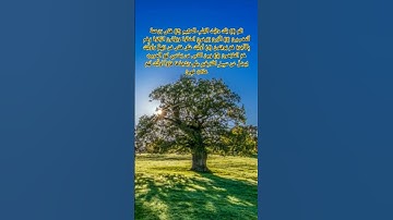 #القرآن_الكريم #ياسر_الدوسري #أيات_قرأنية #سورة_لقمان