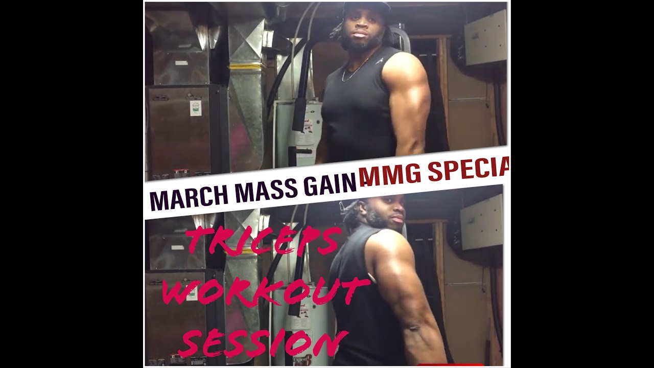 Triceps exercises for BIGGER arms. March Mass Gain - MMG Series. - YouTube
