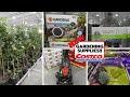 NEW Gardening Supplies at Costco! | Bulbs | Plants & Flowers | Tools, & More!!