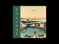 Foliage - Take (Full Album)
