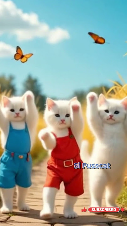 triplet kittens dancing popoyo #cat #cute #funny #shorts #prettycat