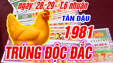 Trời định TRÚNG ĐỘC ĐẮC Tuổi TÂN DẬU 1981 HỐT TIỀN TỶ CỰC GIÀU đúng ngày cuối 28, 29 tháng 6 nhuận