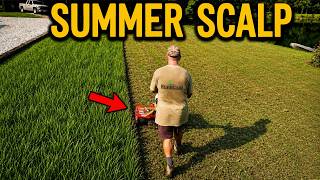 Why You SHOULD Scalp Your Bermuda Lawn in Summer