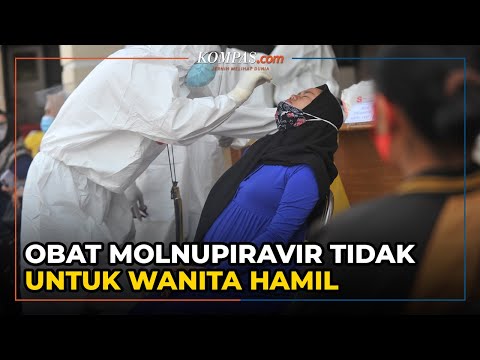 BPOM Sebut Obat Molnupiravir Tidak untuk Wanita Hamil