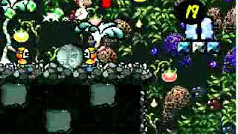 KR - 33 - The Cave of Jungle Fever