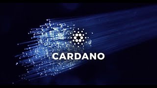 CNFTsI NFTs en Cardano I CNFT Jungle I OpenCNFT I Crypto NFT