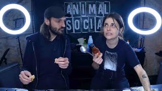 HOT ONES ANIMAL SOCIAL #001