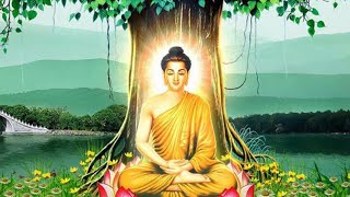 Nhạc Phật 2024 Bình An Phát Lộc Phát Tài May Mắn Vạn Sự Thành Công. Buddha music relax. Buddha daily