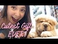 I GAVE MY SISTER A PUPPY!!