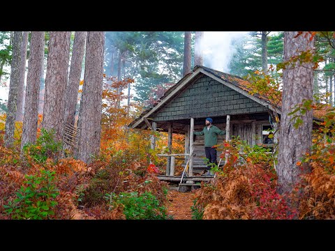 Peaceful Off-Grid Cabin Hidden in the Pines