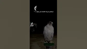 موسيقى هيبه 