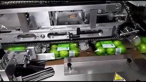 GNA - Flowpack machine mod. Vaquita