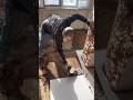 🏗️ Amazing Cement Hacks | DIY Construction & Molding Ideas 🧱