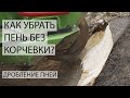 Как убрать пень без корчевки: дробление пней - удаление пней без корчевания www.Tree-Work.ru