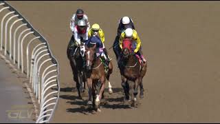 Vidéo de la course PMU PRIX PEARL OF ASIA / SHE'S A KEEPER / SILVER HOST FM 72 HANDICAP