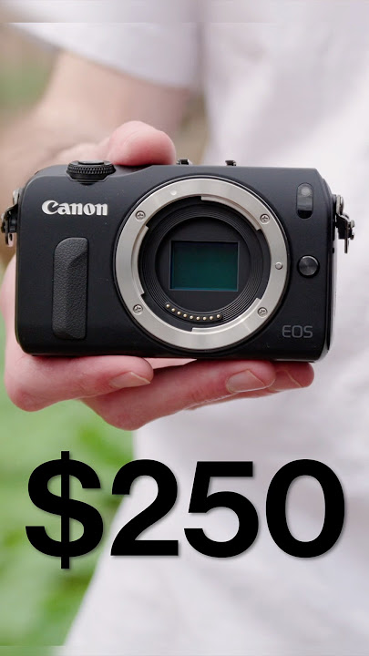 This $250 Camera Breaks the Rules.