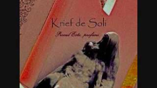 KRIEF DE SOLI - Mei Oculus Devorati Sunt Tenebris...