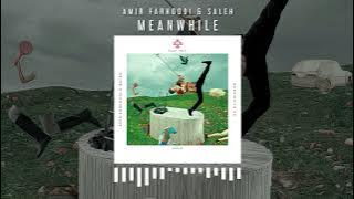 Amir Farhoodi & Saleh - Meanwhile