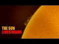 The Sun Live Telescope View