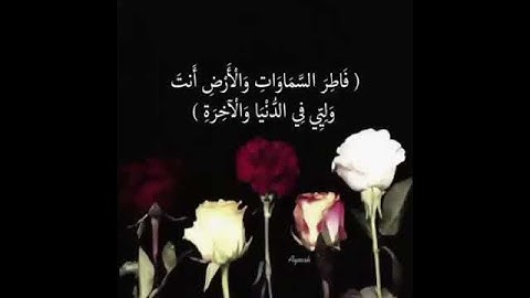 #تلاوات #ماهر_المعيقلي #ياسر_الدوسري #ناصر_القطامي #السديس #خالد_الغامدي(26)