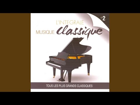 Les quatre saisons, concerto no. 2 : L' été - allegro