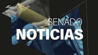 Senado Notícias ao vivo: acompanhe as últimas informações do dia - 8/5/24