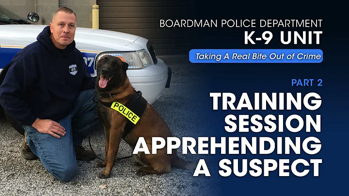 BPD K-9 Unit  Part 2: Training Session (Apprehendi...