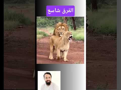 الفرق شاسع حيوانات برية الحياة البرية الحيوانات المفترسة الحيوانات غرائب اسئلة ثقافية