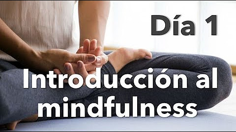 Meditación Guiada Elefante Zen Youtube