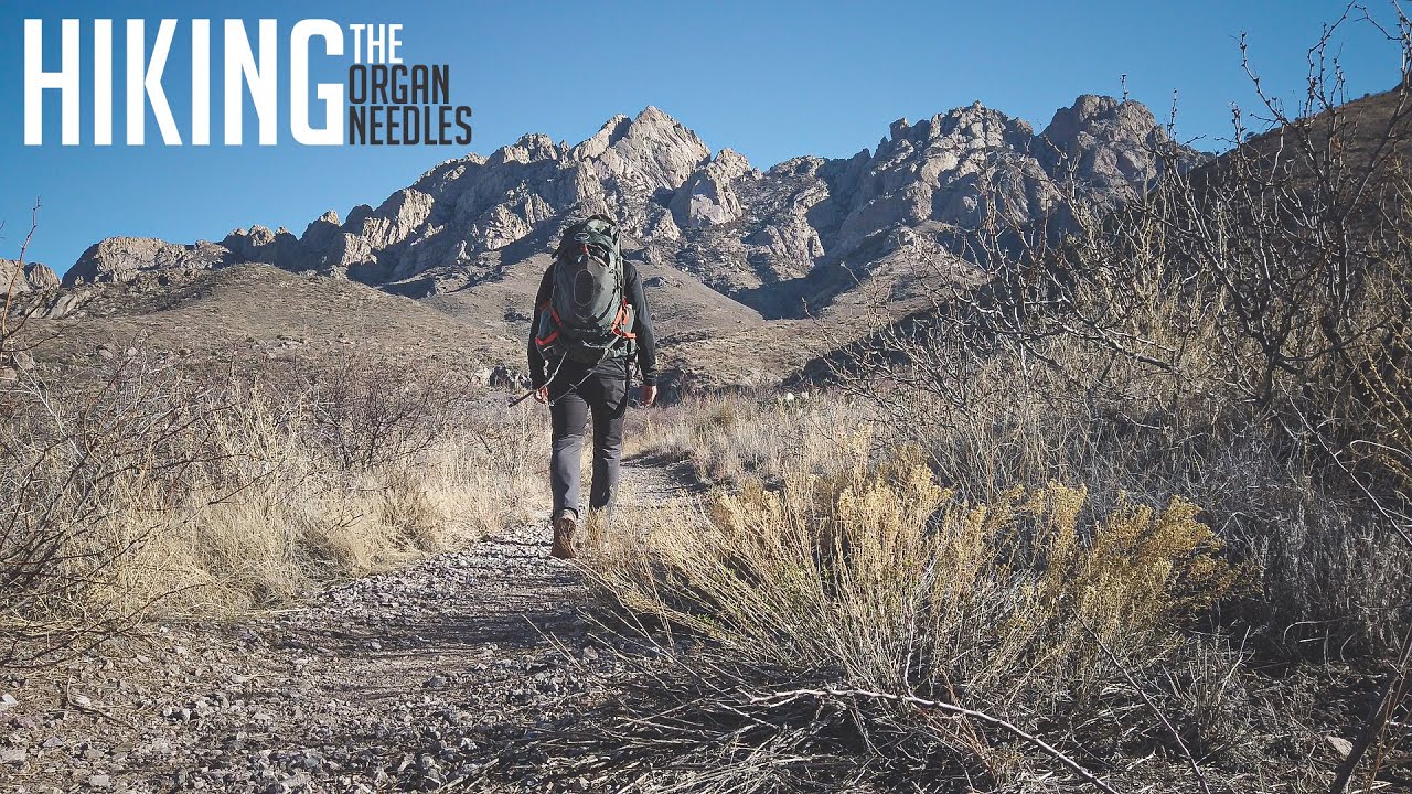 Hiking the Organ Needle Las Cruces, New Mexico What to expect YouTube