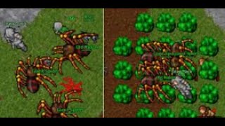 EK LVL 148 LURING OLD WIDOW Mass Kill (Tibia Astera 2006 7.72) - Lvl 148 lurando Old Widow
