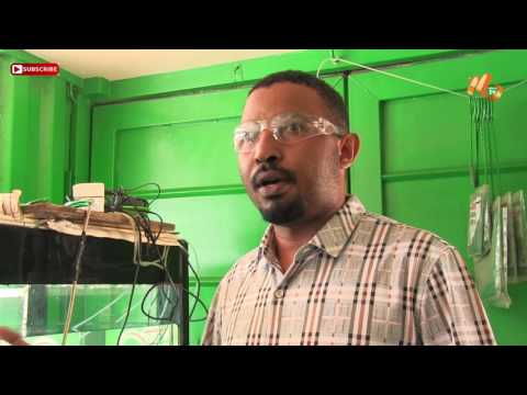 Video: Jinsi ya Kuhesabu Gharama za Chakula (na Picha)