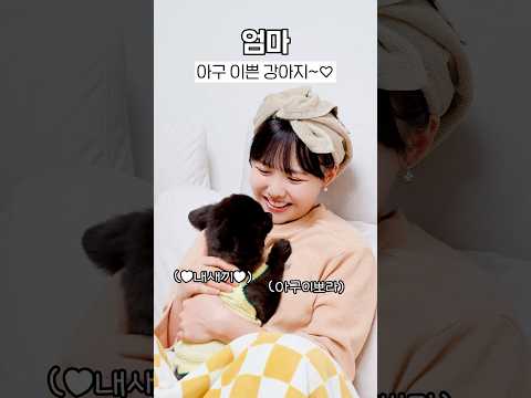 강아지 절대 안된다고하는 엄마 특ㅋㅋ #<strong>엄마와나</strong>