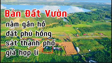 CẦN TIỀN DƯỠNG GIÀ ! bác bảy rao bán mảnh đất vườn gắn bó lâu nay ở bà rịa vũng tàu