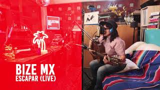 SELECTOR MX / PANDEMIA LIVE / BIZE MX