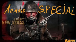 Fallout: New Vegas взлом S.P.E.C.I.A.L.